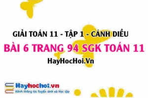 Giải bài 6 trang 94 Toán 11 tập 1 SGK Cánh Diều
